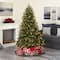 6ft. Pre-Lit New Haven Spruce Artificial Christmas Tree, Clear LED Lights